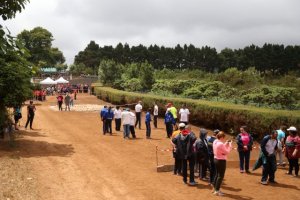 Valleseco: XIII Encuentro de Equinoterapia, Juegos y Deportes Aut&oacute;ctonos para personas con discapacidad de la isla