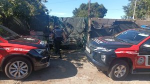 El Cuerpo General de la Polic&iacute;a Canaria denuncia un presunto delito de maltrato animal a 33 perros en Tenerife