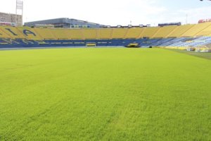 El Estadio de Gran Canaria renueva su césped para la segunda parte de la temporada