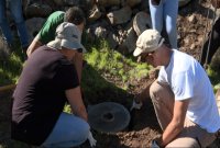 La Gomera fomenta la reducción de la huella de carbono con una iniciativa de plantación de árboles