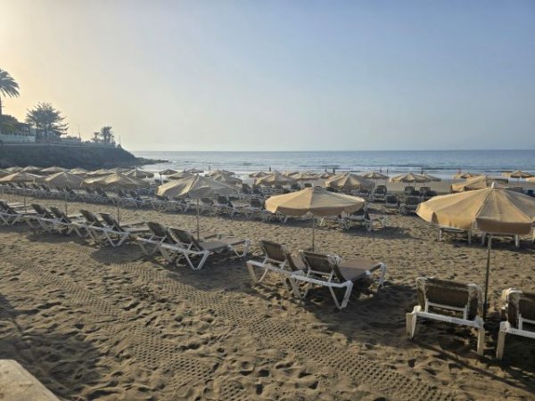 Turismo de Gran Canaria expresa su preocupaci&oacute;n por la presencia de roedores y basura en playas de San Bartolom&eacute; de Tirajana
