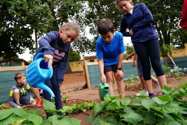 Valleseco potencia el sector primario en su campus de verano