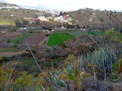 Valleseco cierra la temporada de senderismo con la ruta de Teror a Tamaraceite