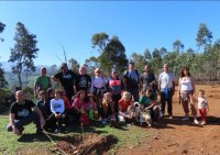 Plantados 225 &aacute;rboles nuevos en Firgas y Gu&iacute;a gracias a las Repoblaciones Forestales en Familia