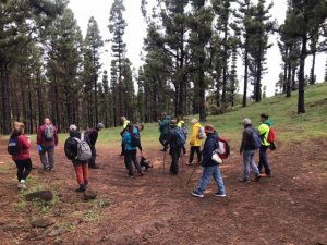 Tejeda: Ruta de Senderismo: Cruz de Tejeda - Gáldar