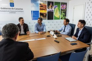 Transición Ecológica y Endesa estudian acciones de contingencia ante posibles apagones este verano