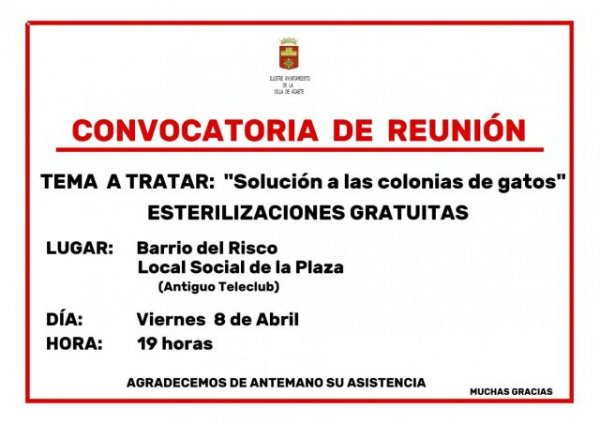 El Ayuntamiento de Agaete, continúa avanzando en el trabajo de control de las colonias felinas del municipio