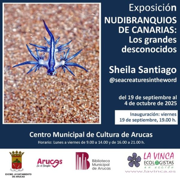 Arucas: La Exposición “Nudibranquios de Canarias: Los grandes desconocidos”, de Sheila Santiago se inaugura el 19 de septiembre