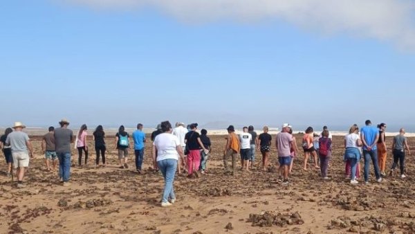 Ben Magec, Turcón y Agonane celebran la negativa del Gobierno de Canarias ante el desatinado proyecto del Dreamland Studios de Fuerteventura