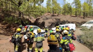 El SCE financia los contratos de 63 desempleados para recuperar las zonas afectadas por el incendio de Tenerife