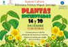 Gu&iacute;a: Abierta la inscripci&oacute;n para participar en los talleres familiares &lsquo;Plantas Encuentadas&rsquo;