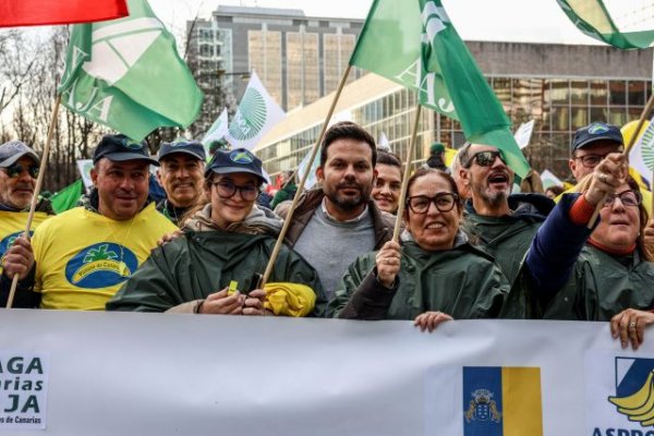 El Gobierno respalda las demandas del sector primario canario en la movilizaci&oacute;n agraria celebrada en Bruselas