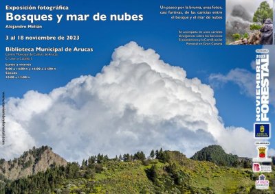 Noviembre Forestal llega a Arucas el viernes 3 de noviembre con la Exposición “Bosques y mar de nubes”, de Alejandro Melián