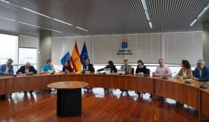 Transición Ecológica lidera la primera Mesa de la Energía Eólica Marina en Canarias para avanzar en su implantación