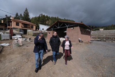 Transici&oacute;n Ecol&oacute;gica destina m&aacute;s de medio mill&oacute;n de euros al bosque productivo de Vilaflor