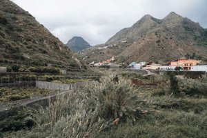 El Cabildo aprueba el proyecto para la restauración de ecosistemas en barrancos de La Gomera