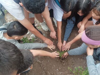 El CEIP Virgen del Carmen participa en una jornada educativa en el paseo bot&aacute;nico de La Aldea