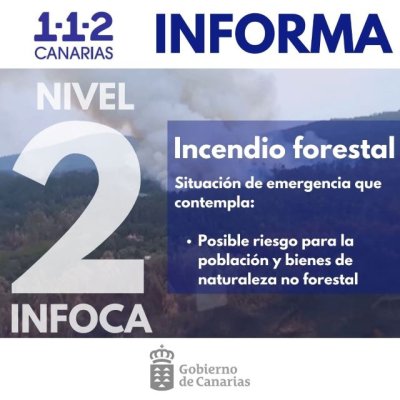 El Gobierno de Canarias declara el nivel 2 del INFOCA y asume la direcci&oacute;n del incendio forestal en Tenerife
