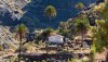 La Aldea: Carmelo Pérez Hernández y su obra ‘Las luces brillan en las palmeras’ se alza con la victoria en el concurso de fotografía ‘La Palmera Canaria’