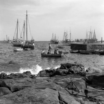 La Muestra de Cine invita a tres prestigiosos conferenciantes para hablar de la influencia de la pesca en el cine, en el mundo y en Lanzarote