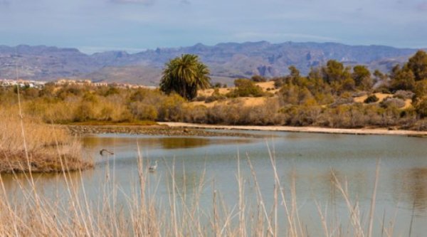 El proyecto europeo ‘Natalie’ permitirá controlar la contaminación de las aguas pluviales en Maspalomas