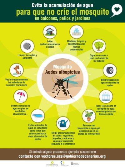 Sanidad mantiene activo el sistema de vigilancia para la detecci&oacute;n mosquito Aedes albopictus en Tenerife