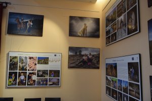 G&aacute;ldar: La Sala S&aacute;bor acoge la exposici&oacute;n fotogr&aacute;fica 'Pastores de volcanes y alisios' en el marco de la XXV Feria del Queso