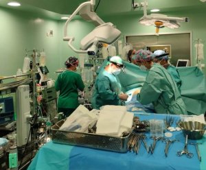 Los profesionales del SCS realizaron 209 trasplantes de &oacute;rganos en 2025