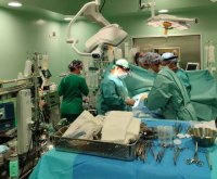 Los profesionales del SCS realizaron 209 trasplantes de &oacute;rganos en 2025