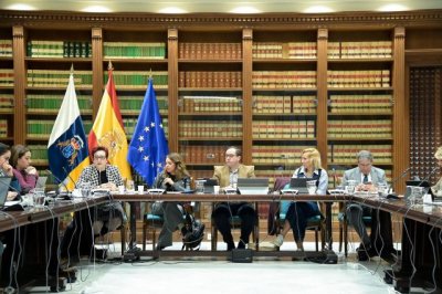 Delgado anuncia que Canarias contar&aacute; con nuevos convenios de atenci&oacute;n a dependencia en el primer semestre del a&ntilde;o