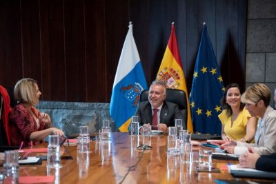 Ratificada la contrataci&oacute;n de los trabajos de urbanizaci&oacute;n para viviendas modulares en El Paso y Los Llanos