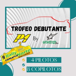 Automovilismo: Con la celebración del 9ª Rallye Comarca Norte, llega la quinta prueba puntuable para el Trofeo Debutante