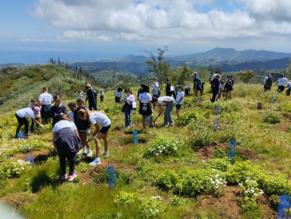 Foresta y TUI Care Foundation promueven la restauración de Monte Pavón con acciones de sensibilización dirigidas a la población local