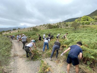 38 marines de la Armada estadounidense colaboran con la Fundaci&oacute;n Foresta en labores de conservaci&oacute;n en la cumbre grancanaria