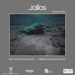 El 7 de febrero llega “Jallos” de Gustavo Martín al Centro Municipal de Cultura de Arucas