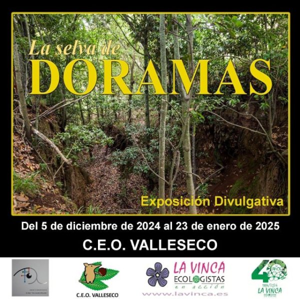 La Exposición Divulgativa “LA SELVA DE DORAMAS” se muestra en el C.E.O. Valleseco