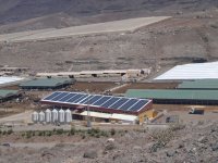 La Aldea: El alcalde y la concejala de Desarrollo local visitan la mayor ganader&iacute;a de vacuno de Canarias