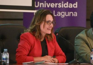 Delgado: “Canarias exige una respuesta conjunta de Europa ante la actual situación de crisis migratoria”
