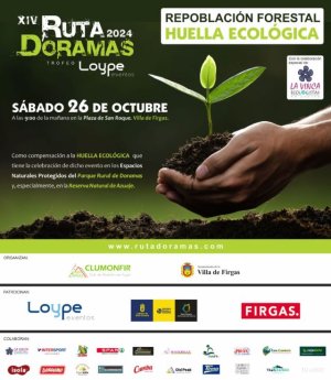 El sábado 26 de octubre se llevará a cabo una nueva repoblación en la Montaña de Firgas con motivo de la Huella Ecológica de la Ruta Doramas 2024