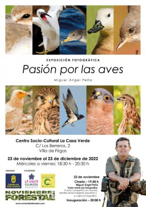 La Exposición “Pasión por Las Aves”, de Miguel Ángel Peña se inaugura en La Casa Verde de Firgas el 23 de noviembre