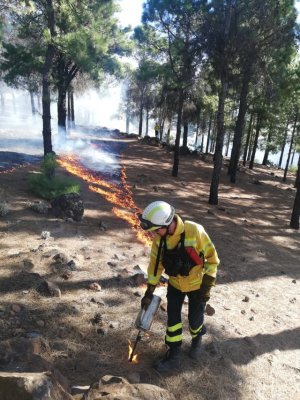 El Cabildo inicia la campaña de quemas prescritas en la Cumbre para prepararla ante los incendios forestales