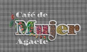 Agaete abre &#039;Café de Mujer&#039;, un programa de empleo femenino para el reconocimiento social y cualificación en el sector cafetero