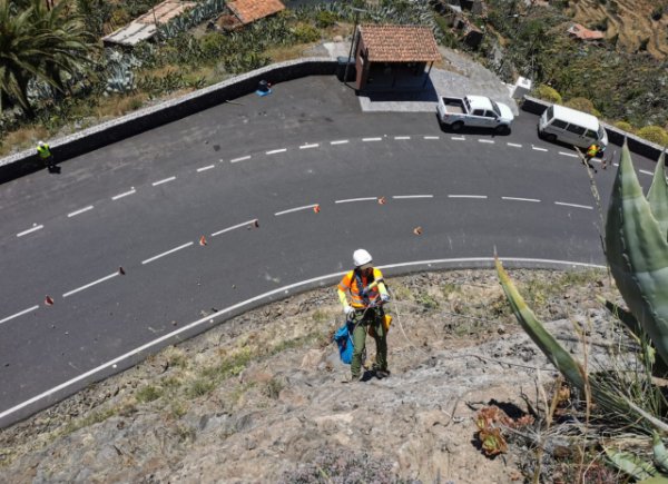 La Gomera: El Cabildo refuerza las tareas de control y erradicación de flora exótica en la isla