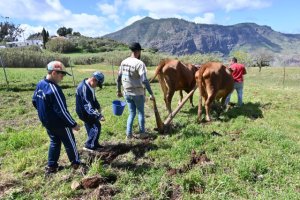 G&aacute;ldar: &lsquo;Educa Rural&rsquo; cierra con &eacute;xito su cuarta edici&oacute;n con m&aacute;s de 300 escolares en Caideros