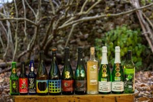 Las sidras de Valleseco refuerzan su proyecci&oacute;n internacional con su participaci&oacute;n en el VI Sagardo Forum 2025