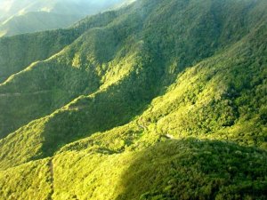 Transición Ecológica avanza la revisión del PRUG del Parque Nacional de Garajonay