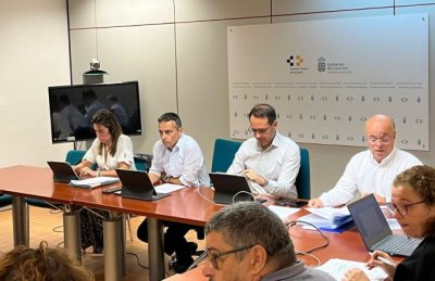 La Mesa Sectorial acuerda buscar f&oacute;rmulas que garanticen la continuidad de los trabajadores que no se estabilicen