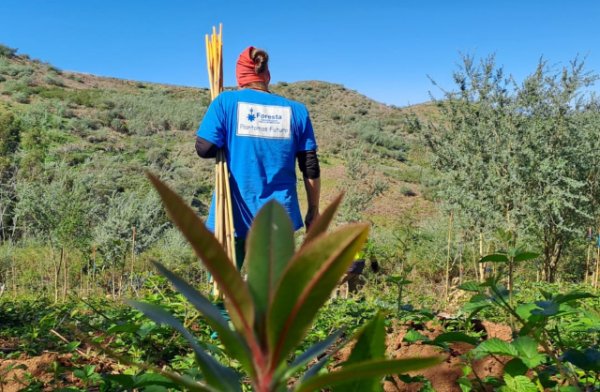 La Fundación Foresta y Sholeo Lodges impulsan la reforestación basada en un turismo sostenible