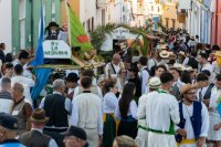 Gáldar: San Isidro celebra su Romería Ofrenda entre tradición y fervor popular