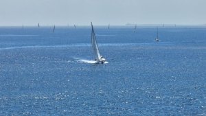 I Regata Gran Canaria-Fuerteventura , &quot; Alpispa 2 &quot; se impone y &quot; Sorcery &quot; firma el crono más rápido en la travesía